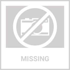 Millennium Energy Bar (Apricot), 400 Calories