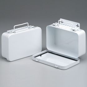 Empty Metal Case, 10 Unit with Gasket - Wall Mountable