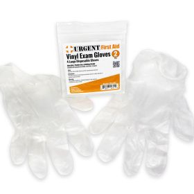 Disposable Gloves, Large, 2 Pair Per Bag